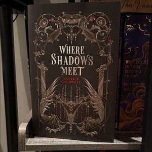 Where Shadows Meet Decorative Book by - Black and Red